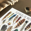 Alexia Claire | Feathers of Britain | Postcard | Conscious Craft